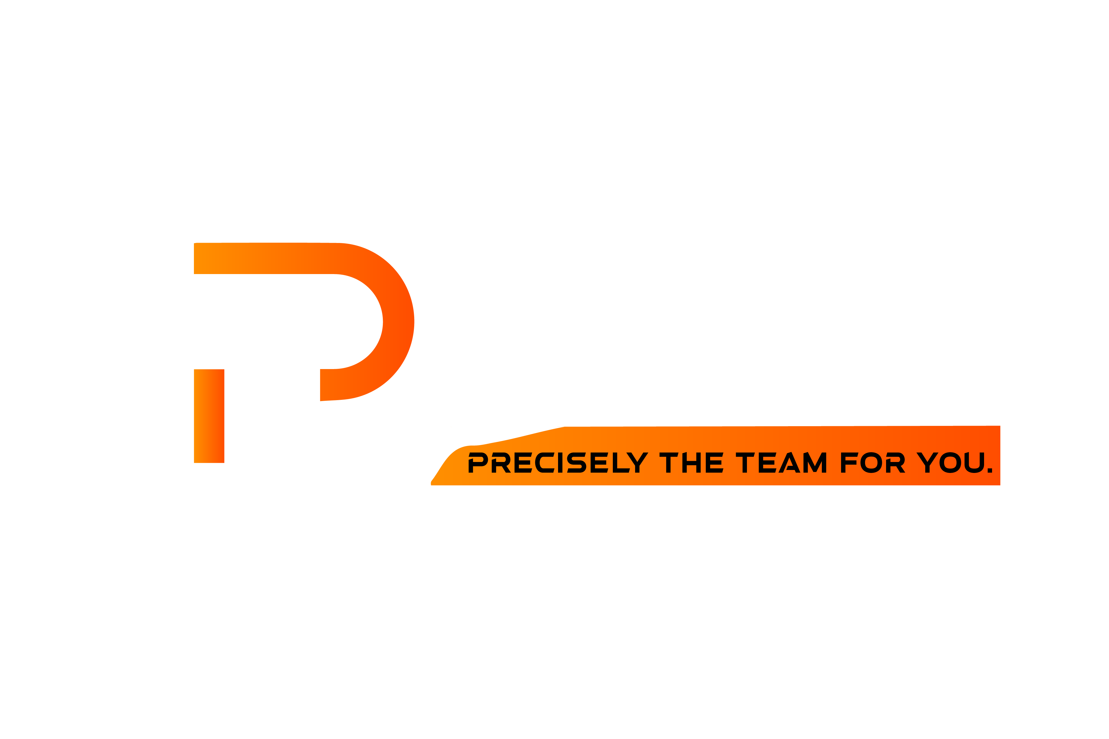 Precise Team Inc.